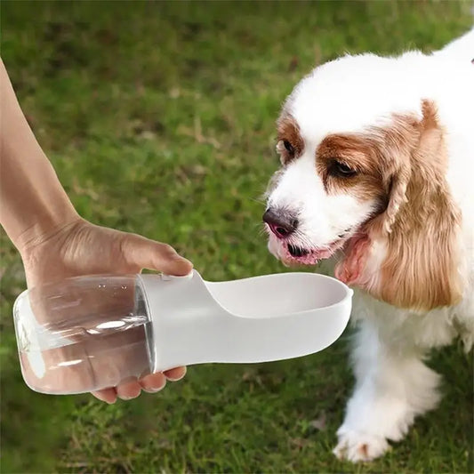 Portable Pet Water Bottle – Convenient Hydration for Dogs - Canine Cart