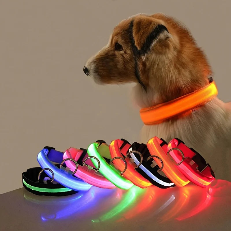 LED Glow-in-the-Dark Dog Leash and Collar – Night Safety - Canine Cart