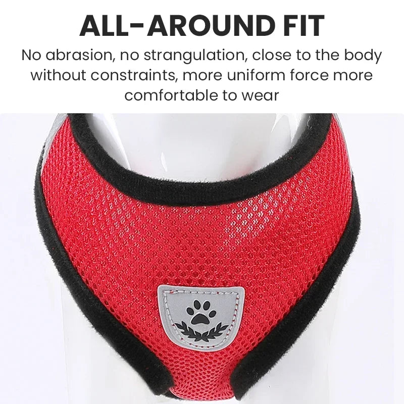 Dog Walking Harness Set – Chest Harness with Leash for Outdoor Use - Canine Cart