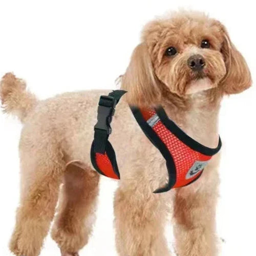 Dog Walking Harness Set – Chest Harness with Leash for Outdoor Use - Canine Cart